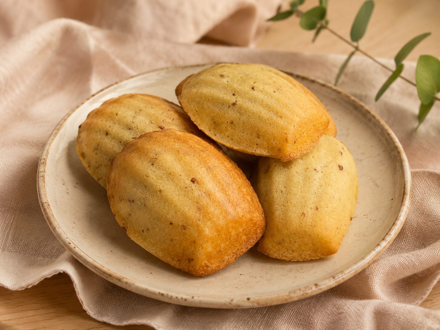 Madeleines x10